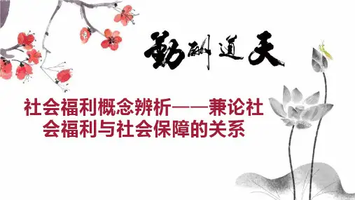 社会福利概念辨析兼论社会福利与社会保障的关系