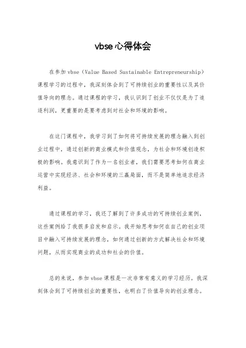vbse心得体会
