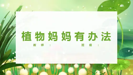 第3课  植物妈妈有办法(课件)(共25张PPT)