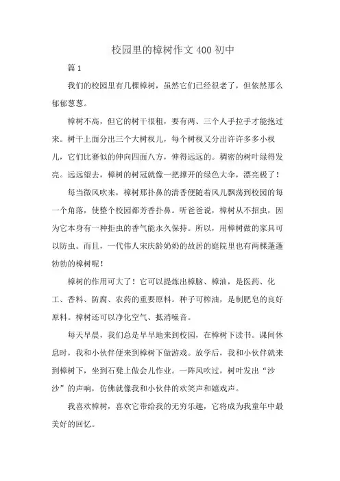 校园里的樟树作文400初中