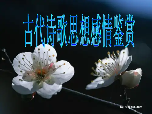 古代诗歌思想感情鉴赏
