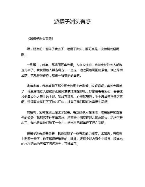 游橘子洲头有感