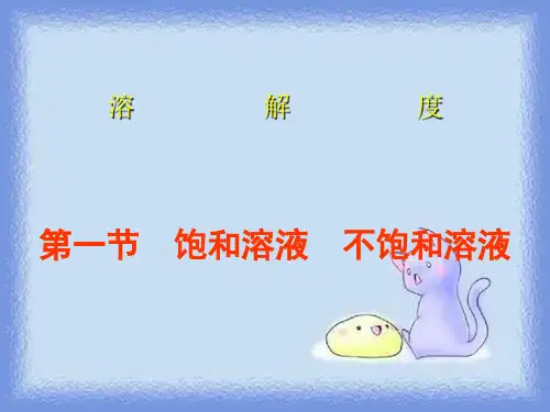 化学九下《溶解度》精品课件