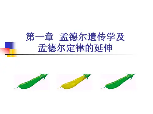 第一章  孟德尔遗传学及孟德尔定律的延伸