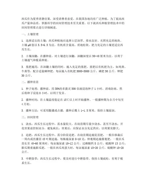 西瓜种植管理技术田间管理