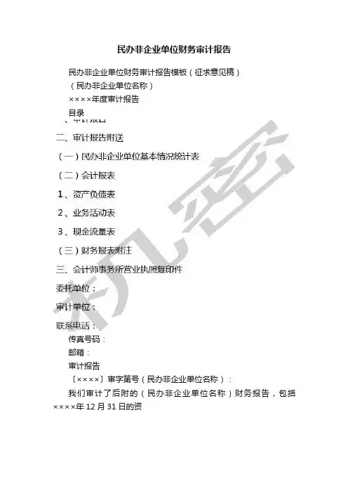 民办非企业单位财务审计报告