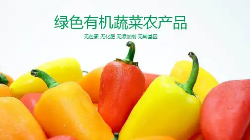 绿色有机蔬菜ppt模板