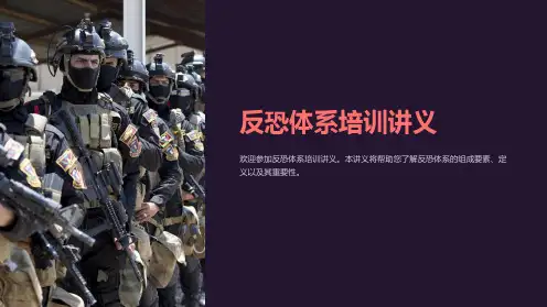 反恐体系培训讲义