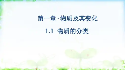 第一章· 物质及其变化1.1  物质的分类