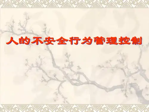 人的不安全行为管理控制培训课件.pptx