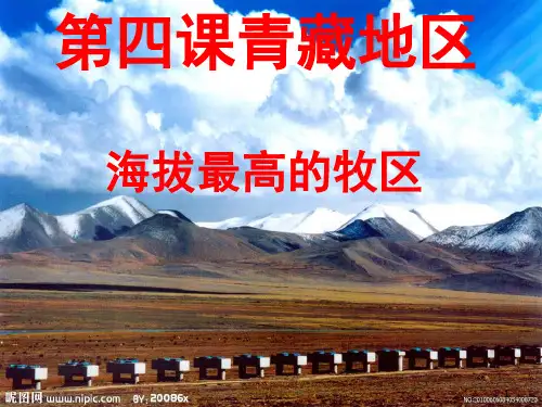 海拔最高的牧区(共43张)PPT课件