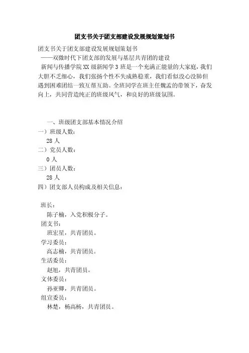 团支书关于团支部建设发展规划策划书（完整版）