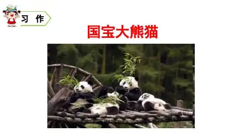 部编版三年级语文下册习作《国宝大熊猫》精美课件(统编)