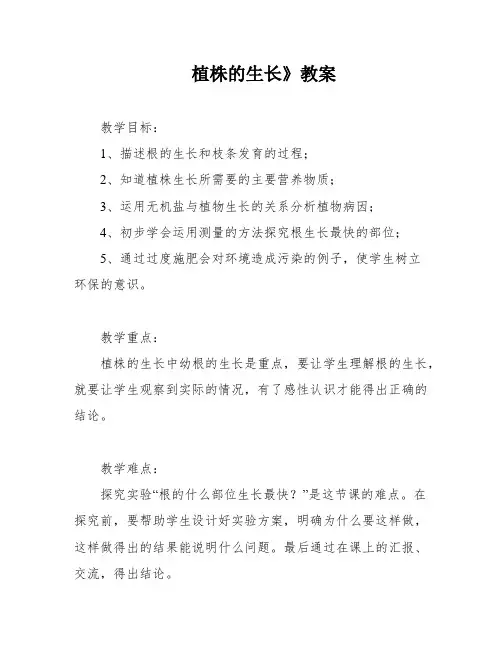 植株的生长》教案