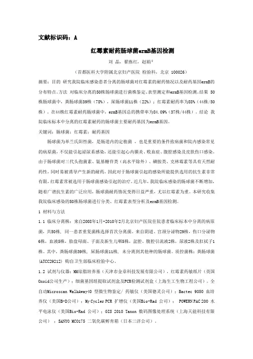 红霉素耐药肠球菌