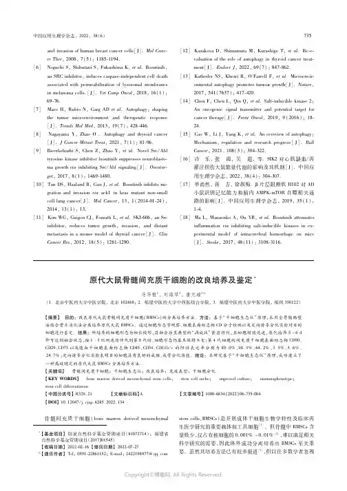 215501260_原代大鼠骨髓间充质干细胞的改良培养及鉴定