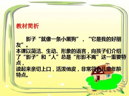 影子优秀课件ppt