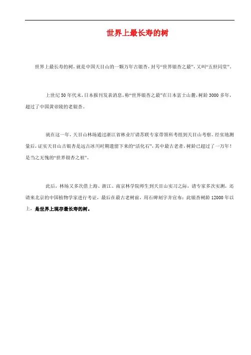 世界上最长寿的树-天目山银杏树