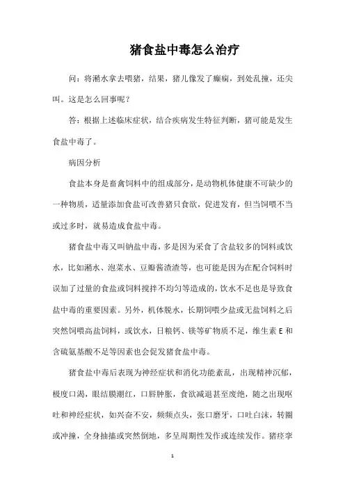 猪食盐中毒怎么治疗