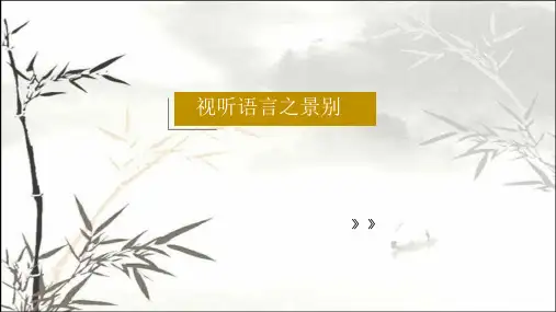 视听语言之景别 PPT