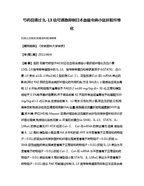 芍药苷通过IL-13信号通路抑制日本血吸虫病小鼠肝脏纤维化