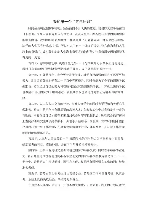 我的第一个五年计划