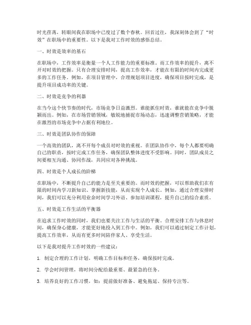 工作时效感悟总结范文