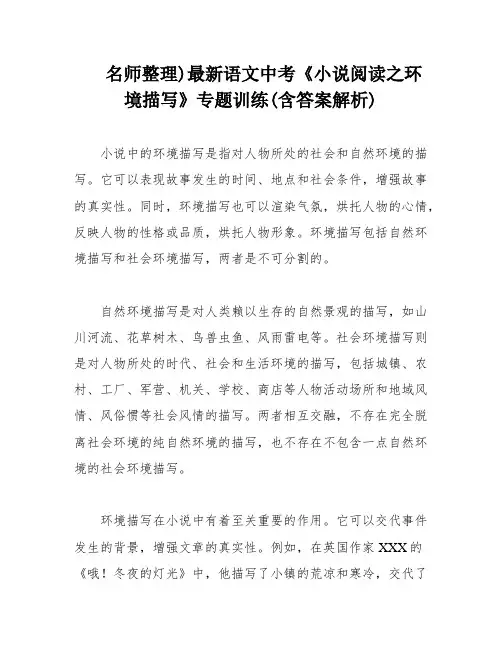 名师整理)最新语文中考《小说阅读之环境描写》专题训练(含答案解析)