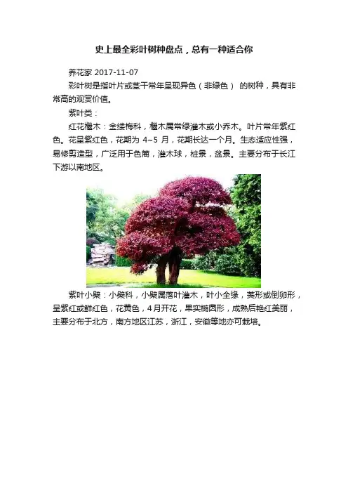 史上最全彩叶树种盘点，总有一种适合你