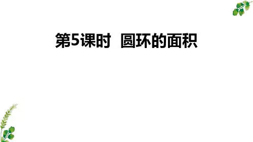 人教版六年级数学上册圆环的面积