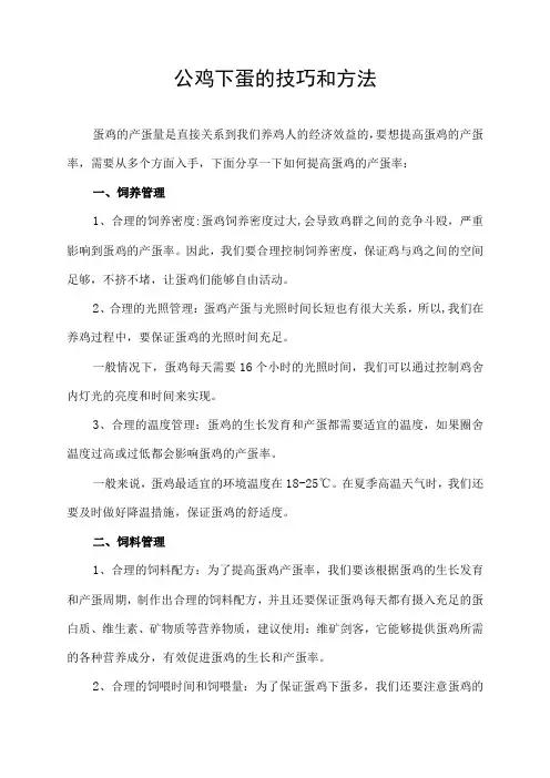 公鸡下蛋的技巧和方法