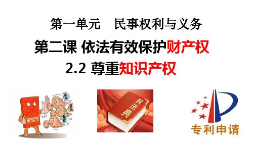 2.2尊重知识产权 课件(共28页PPT) -2024-2025学年高二政治选择性必修二《法律与生活