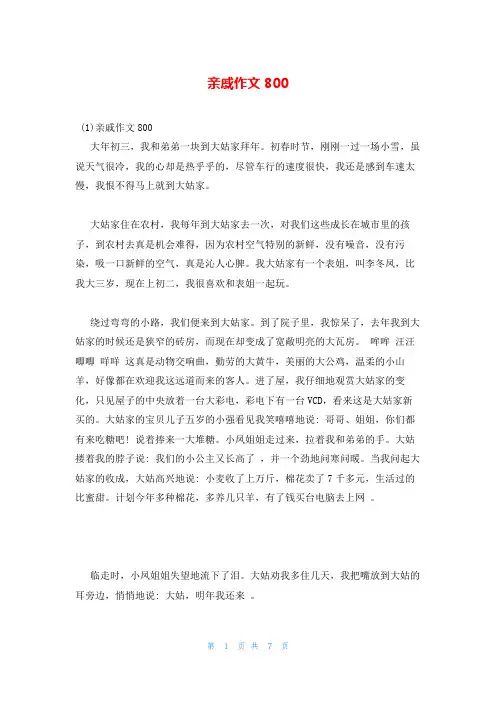 亲戚作文800