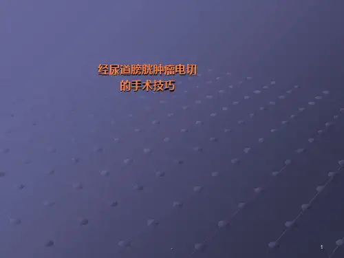膀胱肿瘤电切讲课ppt课件