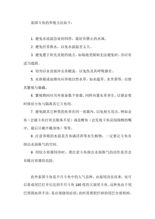 泰国斗鱼养殖方法
