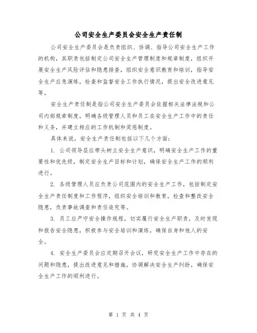 公司安全生产委员会安全生产责任制（三篇）