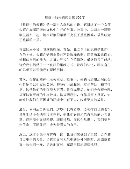狼群中的朱莉读后感500字