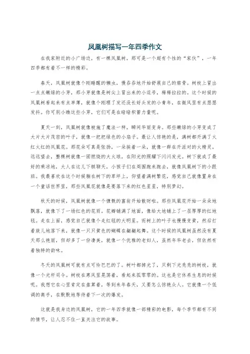 凤凰树描写一年四季作文