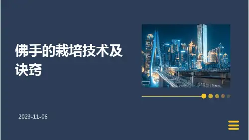 佛手的栽培技术及诀窍