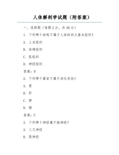 人体解剖学试题(附答案)   