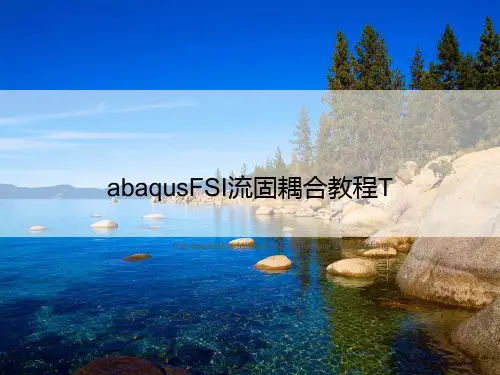 abaqusFSI流固耦合教程T
