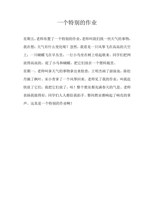 二年级叙事一个特别的作业