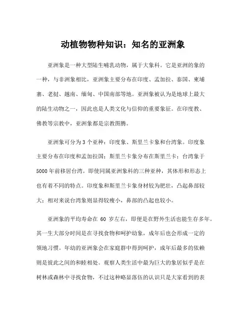 动植物物种知识：知名的亚洲象