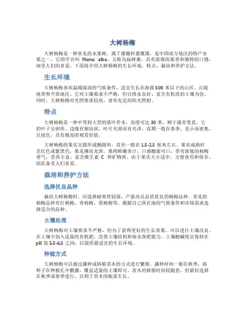 大树杨梅_精品文档