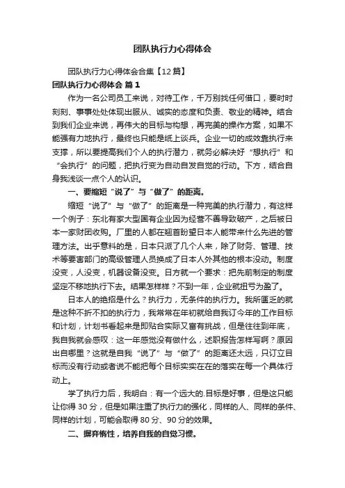团队执行力心得体会