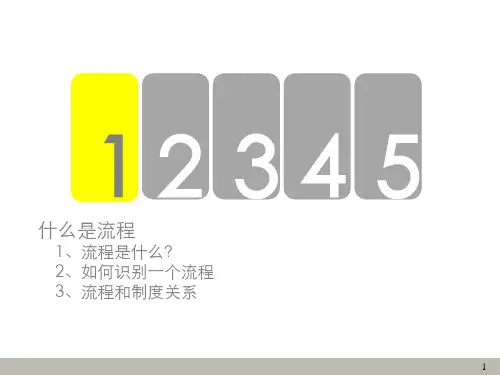 业务流程梳理与改善分析ppt课件