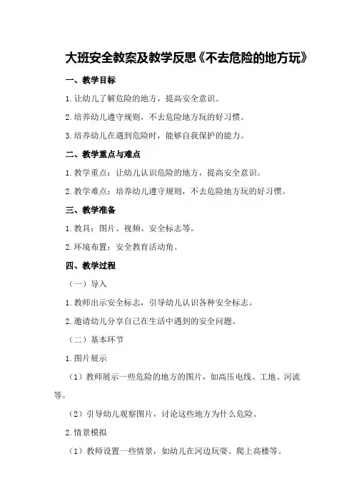 大班安全教案及教学反思《不去危险的地方玩》