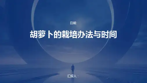 胡萝卜的栽培办法与时间