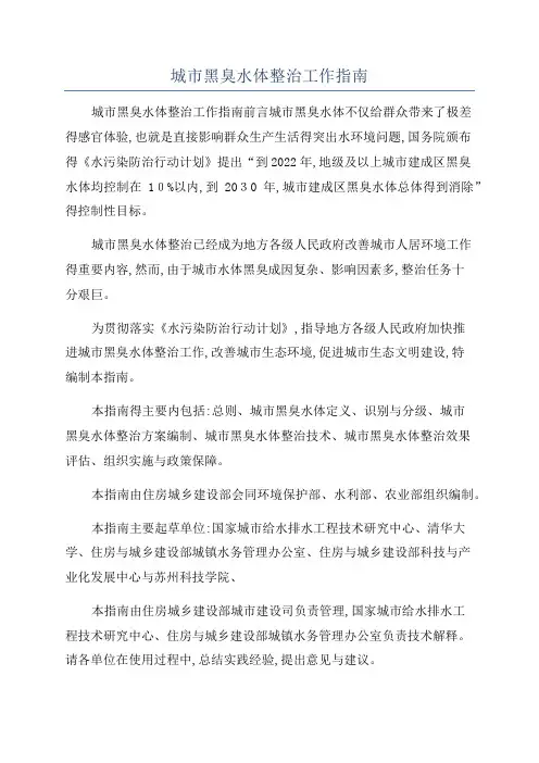 城市黑臭水体整治工作指南