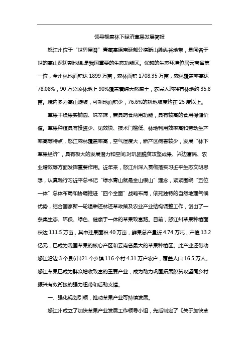 领导视察林下经济草果发展简报